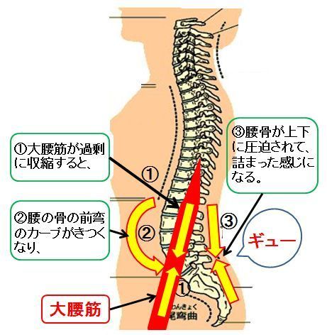 daiyoukin7.jpg